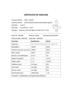 NAD+: Cellular Energy & Anti-Aging Coenzyme | Regenutopia