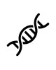 Stem Cell Based